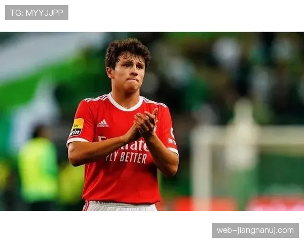 恩佐·费尔南德斯这人，场上拼命脸刚，私下居然爱买一堆名牌包包？